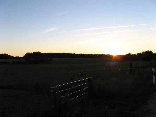 Haus-an-der-geest Appartement